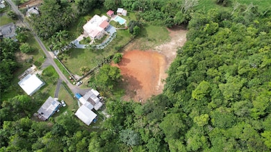 CARR 677 K1 H5 LOTE Bo Espinosa Comm La Pra, Dorado, PR 00646 - photo 7