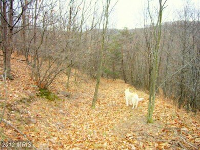 248 Hickory Tree Rd, Moorefield, WV 26836 - photo 4