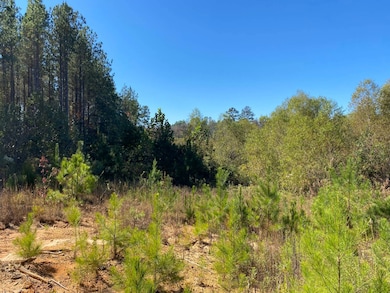 0 Highway 219 unit 11609592, Centreville, AL 35042 - photo 4