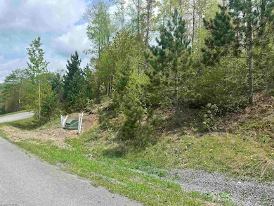 Lot 11 Tuscan Ridge Rd, Davis, WV 26260 - photo 7