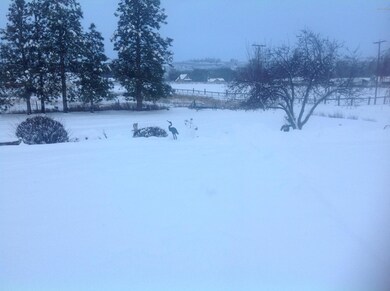 front pasture