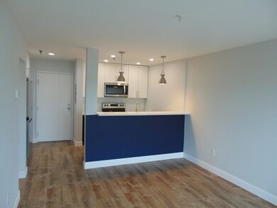 Edgewater Place Condominiums unit 310, Quincy, MA 02171 - photo 5
