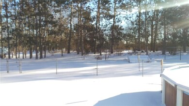 Large yard, extends past the fenced area!