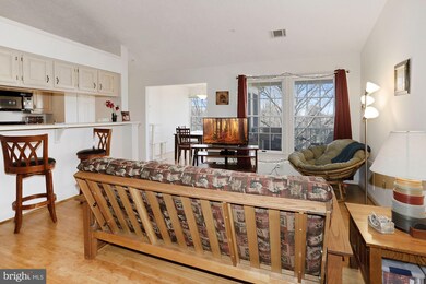 13109 Briarcliff Terrace unit 313, Germantown, MD 20874 - photo 6