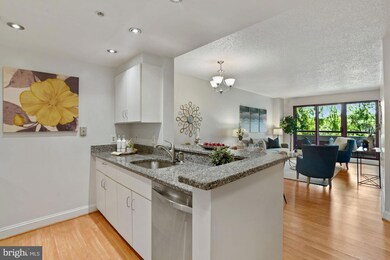 Emerson House on the Park unit 402, Washington, DC 20037 - photo 6