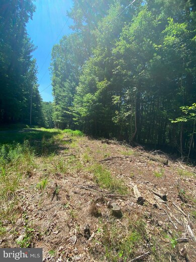 Lots 67 & 68 Tall Tree Dr, Levels, WV 25431 - photo 2