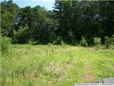 unlisted-address, Hernando, MS 38632 - photo 2