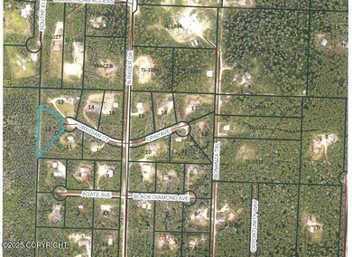 L12 B2 Obsidian Ct, Goldstream, AK 99709 - photo 5