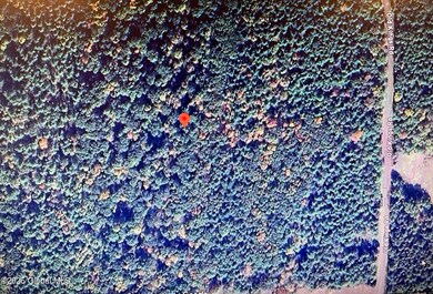 L18.2 Old Kings Rd, New Baltimore, NY 12087 - photo 5