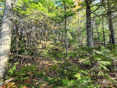 20251012_140053-EDIT