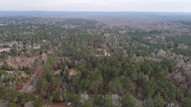 TBD An County Road 353, Palestine, TX 75803 - photo 2