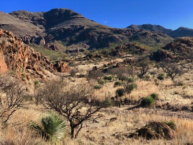 61 Salida Springs Way (27)