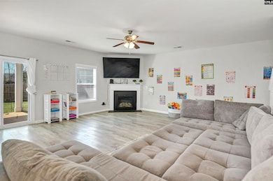 143 Doolittle Dr, Chapin, SC 29036 - photo 7