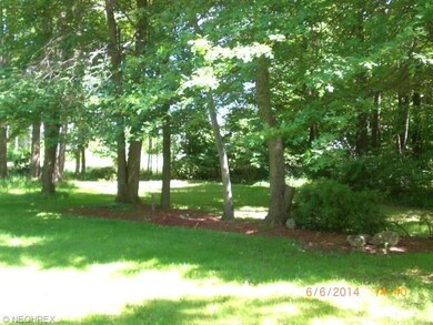 Rear yard