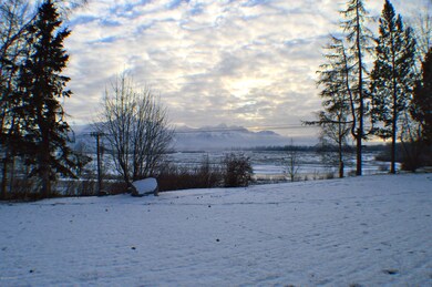 View from Front Yard