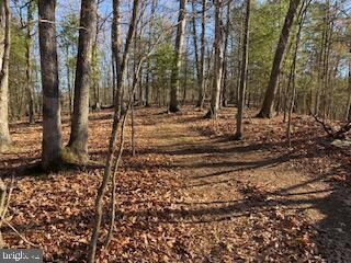 0 Christian Church Rd unit WVHS2000982, High View, WV 26808 - photo 3