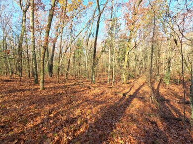 V/L Woodland Park Lots 5 To 9, Bitely, MI 49309 - photo 4