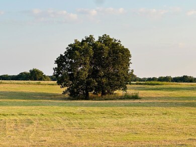 601 County Road 4120 unit 45-597, Bonham, TX 75418 - photo 6