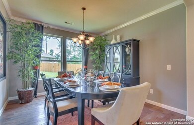 11231 Rock Daisy, Helotes, TX 78023 - photo 5