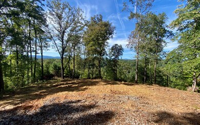 0 Fugue Dr unit 292932, Ellijay, GA 30540 - photo 4