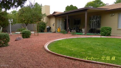 Back yard pic 3