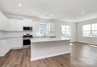 148 Pampas Place, Statesville, NC 28625 - photo 5