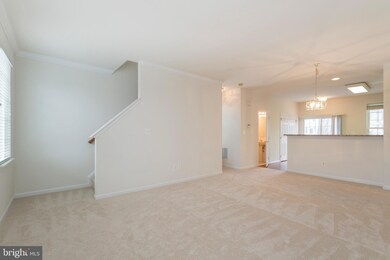 25377 Crossfield Dr, Chantilly, VA 20152 - photo 7