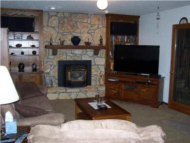 Lower level family room with fireplace