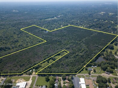 Screenshot 2024-06-20 at 4.17.48 PM