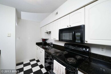 3890 Manzanita Place unit E, Alexandria, VA 22309 - photo 7