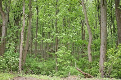 A12 Friendly Ln, 3, Marksville, VA 22851 - photo 5