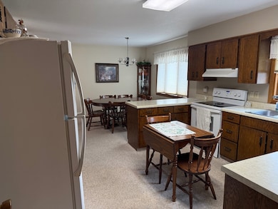 209 S Badger St, Wishek, ND 58495 - photo 6