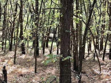 1599 20000 Rd, Parsons, KS 67357 - photo 2