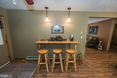 313 Chipmunk Way, Great Cacapon, WV 25422 - photo 2