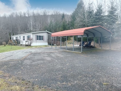 2233 Covert Hollow Rd, Hamden, NY 13782 - photo 6