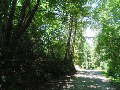 DSC00444