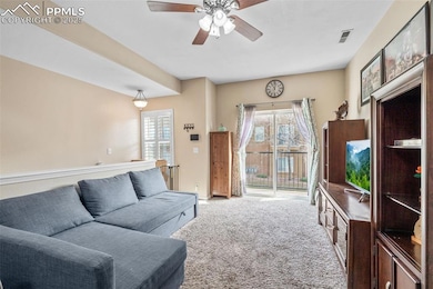 4848 Kerry Lynn View unit 205, Colorado Springs, CO 80922 - photo 6