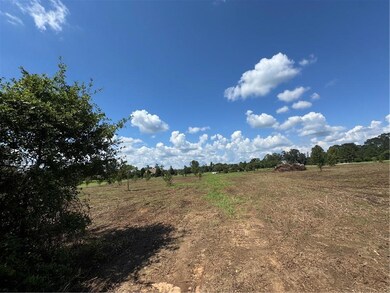 5.5 Acres Eaglesnest Ln, Franklinton, LA 70438 - photo 7