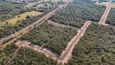 Bird's eye view of a heavily wooded area