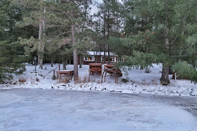 6381 E Big Lake Loop Rd, Three Lakes, WI 54562 - photo 3