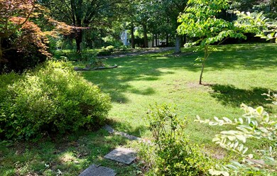 Beautiful Front Yard