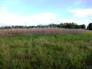 1400 Blk E Sunset Dr, Atmore, AL 36502 - photo 4