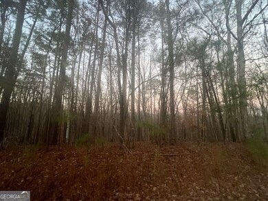 127 Long Shoals Ave, Eatonton, GA 31024 - photo 4