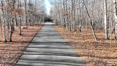 ON Timbershore Dr, Three Lakes, WI 54562 - photo 4