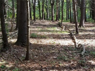 10 ft ROW walking path to Sheepscot...