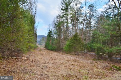 0 Dellinger Acres Rd, Edinburg, VA 22824 - photo 6