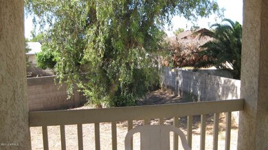 back yard