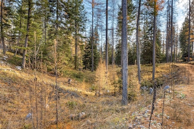 76 Meadow Mint Way, Kalispell, MT 59901 - photo 3