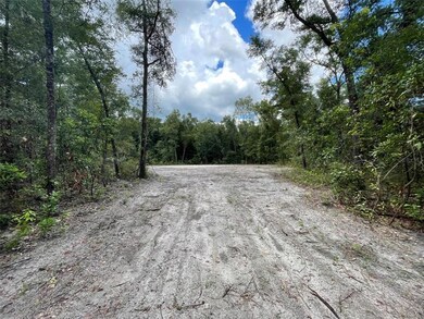 0 280th St unit GC508008, Branford, FL 32008 - photo 2