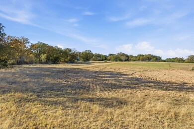 11051 Brock Hwy, Lipan, TX 76462 - photo 4